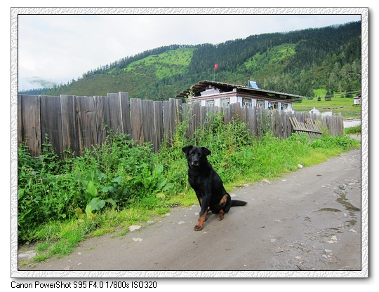 nEO_IMG_IMG_1364 (14).jpg