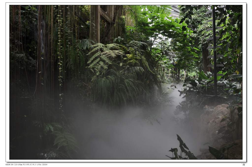 DSC_0205 (NXPowerLite).jpg