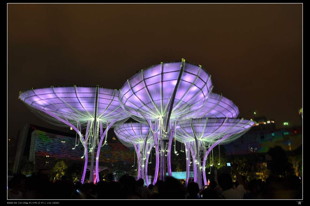 DSC_0124 (NXPowerLite).jpg