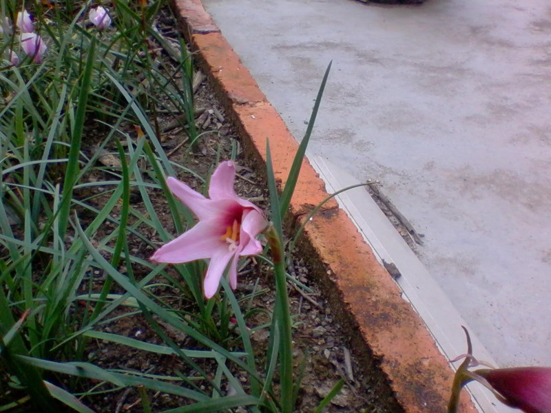 2011-10-04 11.11a.jpg