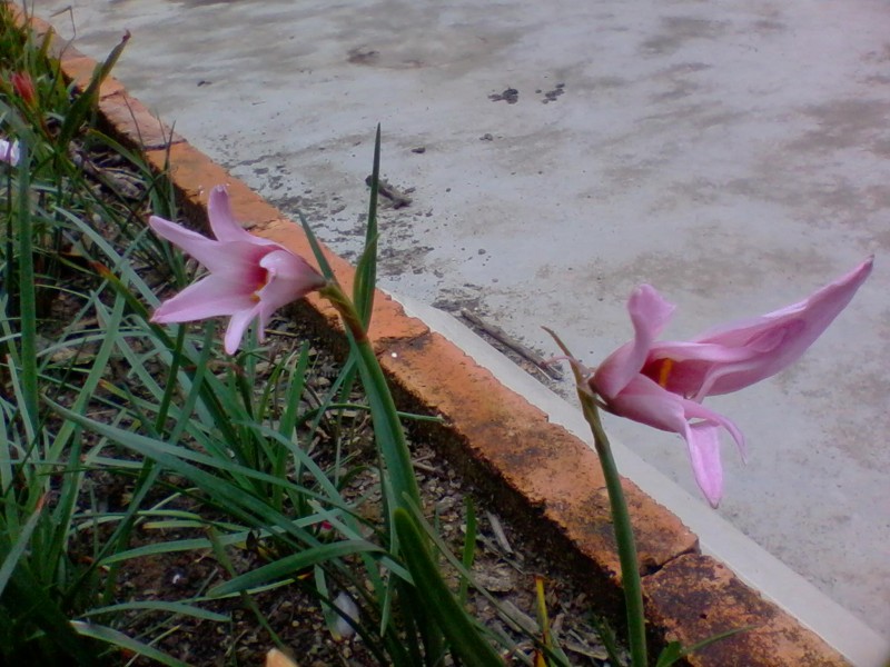 2011-10-04 11.21a.jpg