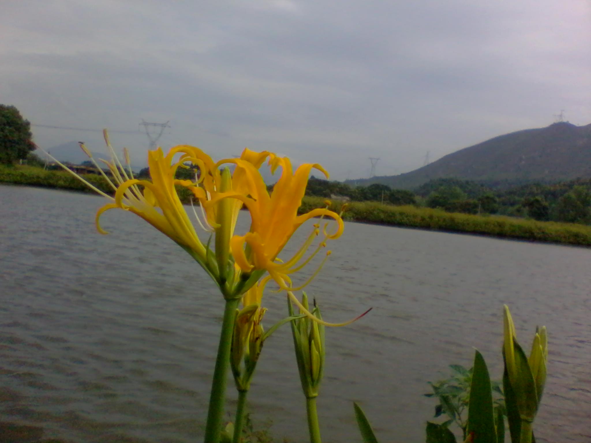 2011-10-05 09.04.08.jpg