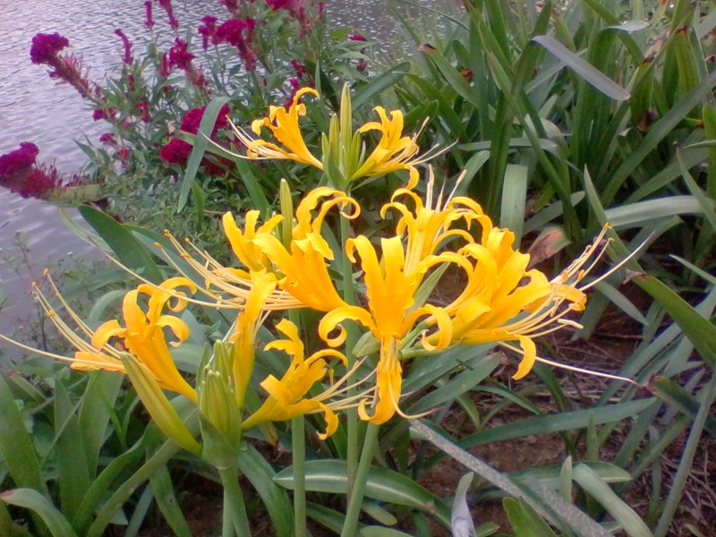 2011-10-06 08.59a.jpg