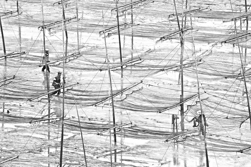 ��̲Э����֮һ