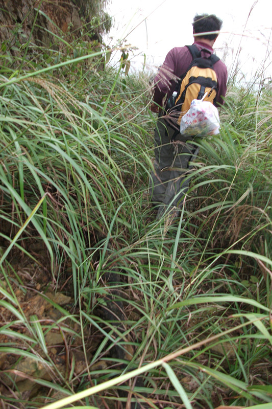 ���������� 062_����.jpg