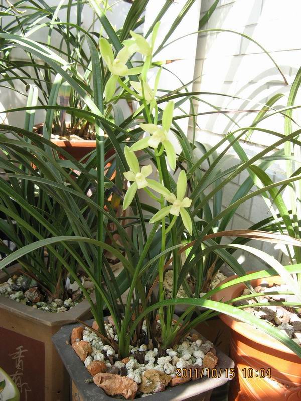 ���� 005.jpg