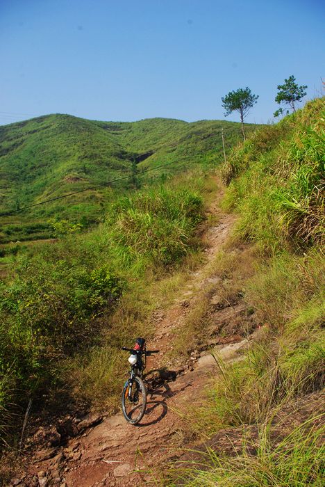 �����ݼ�������