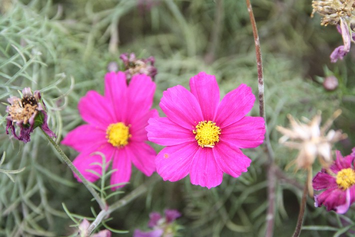 ͽ����Խ���������֮�� (15).JPG