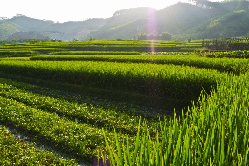 ������С P1010181.jpg