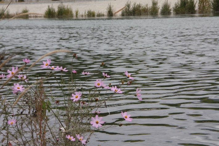 ͽ����Խ���������֮�� (97).JPG