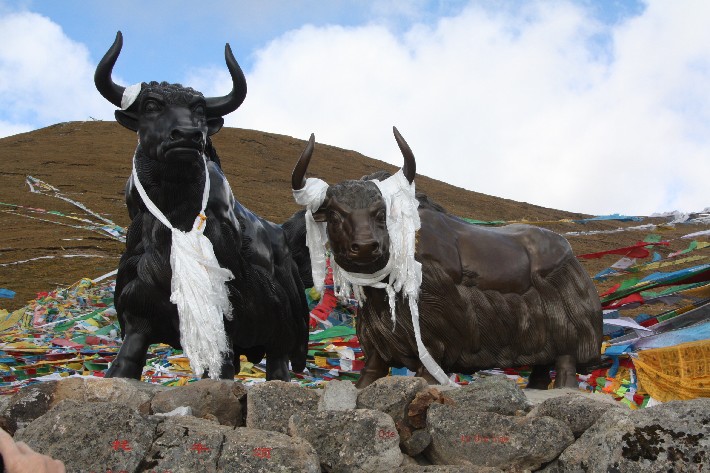 ͽ����Խ���������֮�� (106).JPG