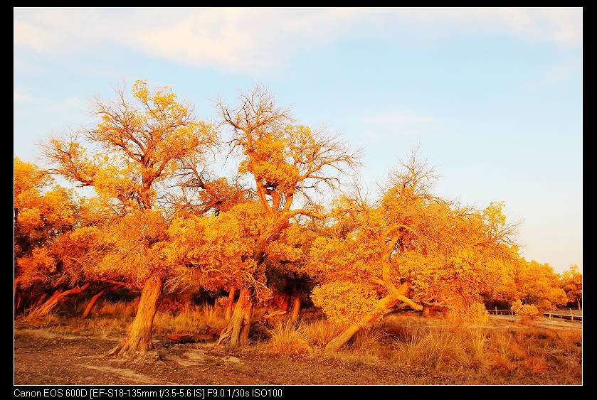 �������ػ͡������3 089_nEO_IMG.jpg