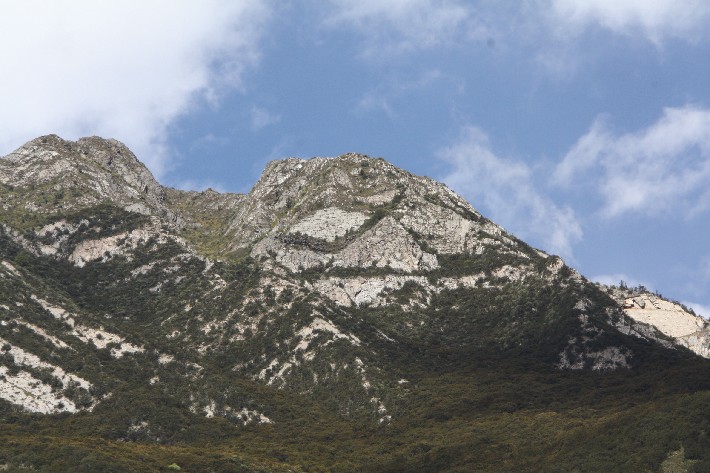 ͽ����Խ���������֮�� (153).JPG