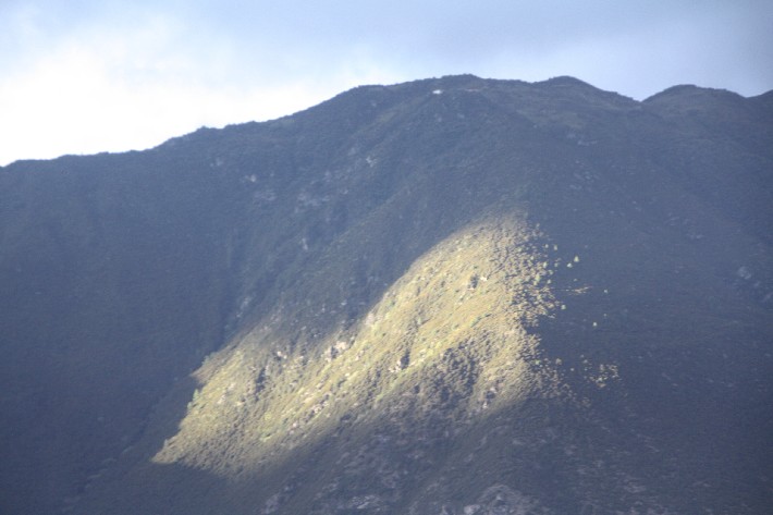 ͽ����Խ���������֮�� (171).JPG