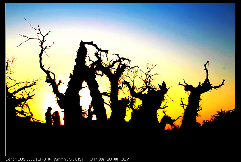 �������ػ͡������3 390_nEO_IMG.jpg