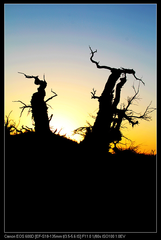 �������ػ͡������3 392_nEO_IMG.jpg