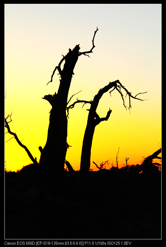 �������ػ͡������3 406_nEO_IMG.jpg