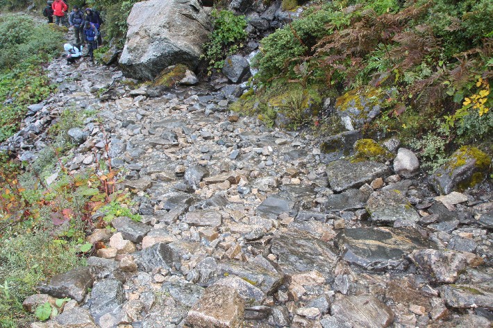 ͽ����Խ���������֮�� (215).JPG