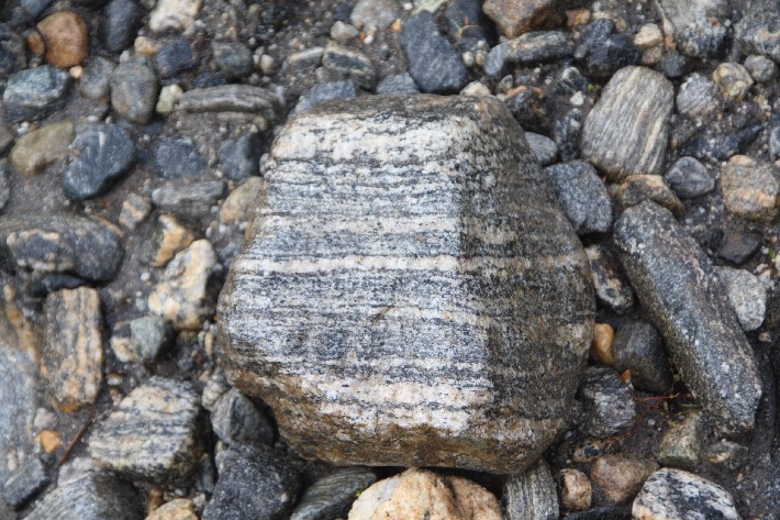 ͽ����Խ���������֮�� (220).JPG