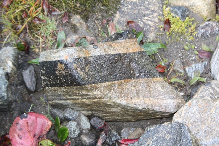 ͽ����Խ���������֮�� (221).JPG