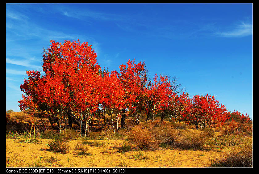 �������ػ͡������1 942_nEO_IMG.jpg