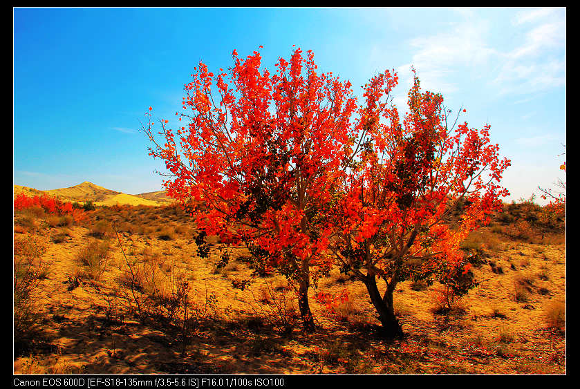 �������ػ͡������1 945_nEO_IMG.jpg