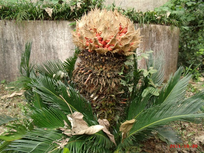 ��ʲô����?