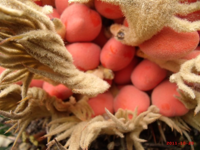 ��ʲô����?