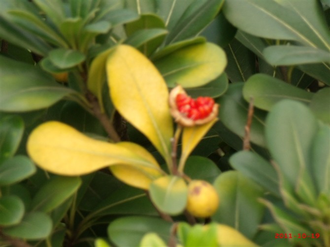 ��ʲô����?