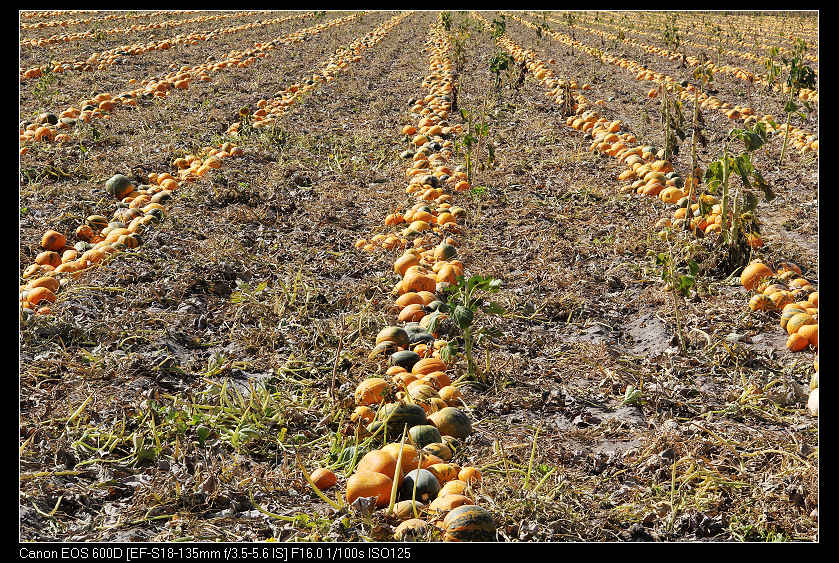 �������ػ͡������1 930_nEO_IMG.jpg