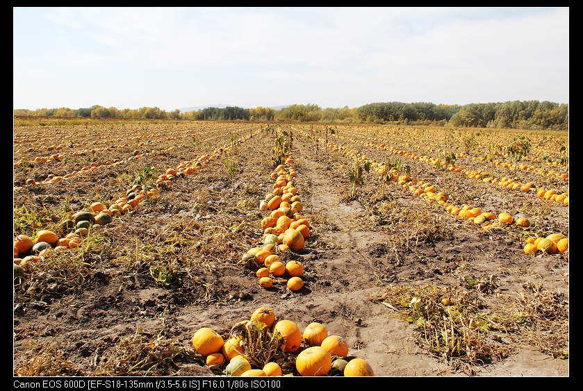 �������ػ͡������1 935_nEO_IMG.jpg