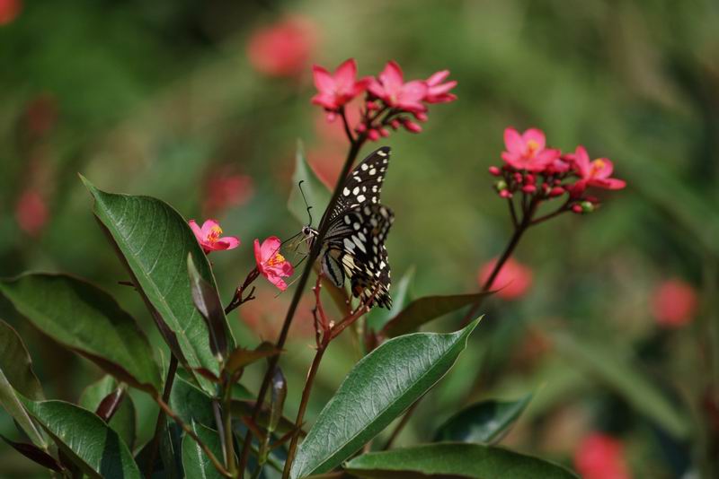 ������С IMG_1130.jpg