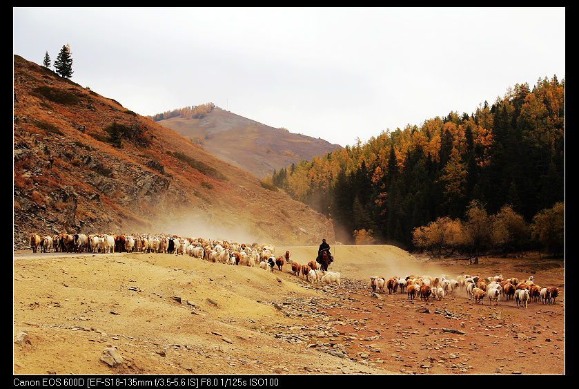 �������ػ͡������2 016_nEO_IMG.jpg