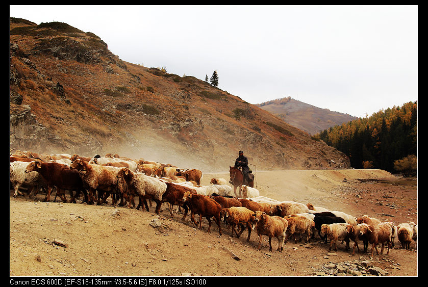 �������ػ͡������2 020_nEO_IMG.jpg