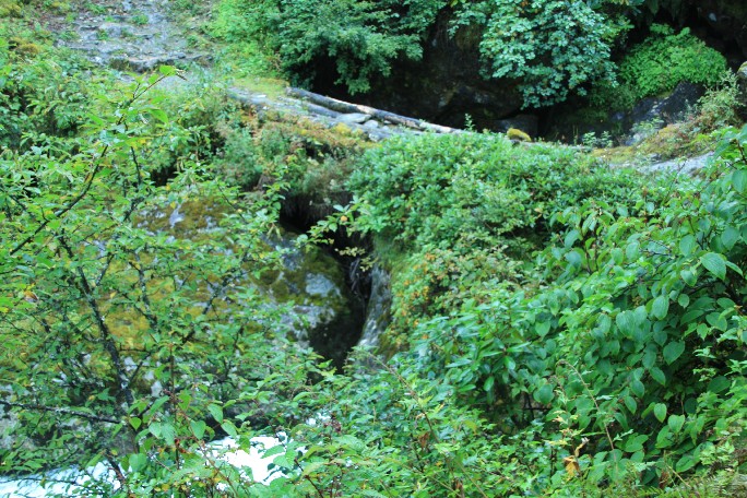 ͽ����Խ���������֮�� (287).JPG