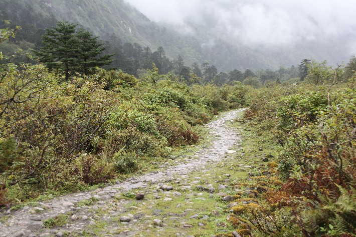 ͽ����Խ���������֮�� (289).JPG