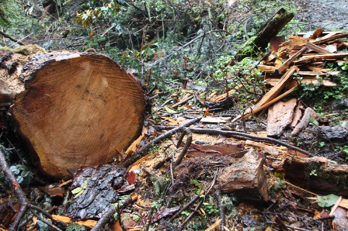 ͽ����Խ���������֮�� (292).JPG