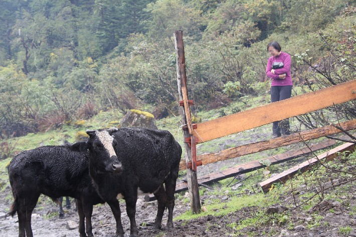 ͽ����Խ���������֮�� (293).JPG