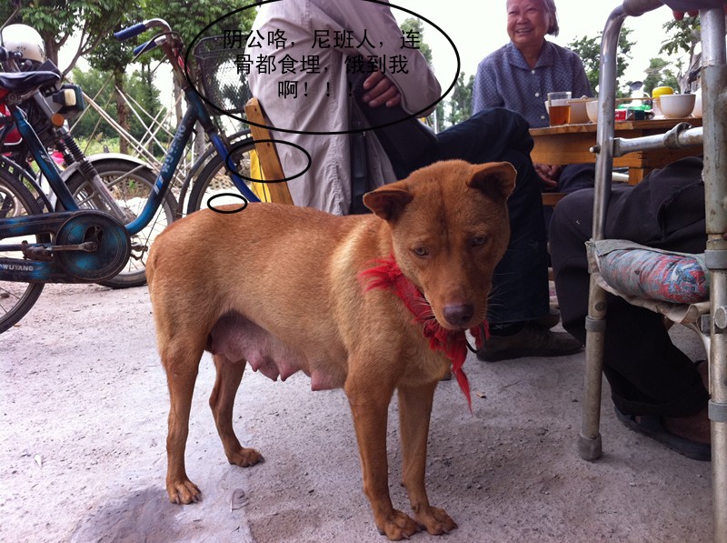 ��Ƭ0000 010_����_conew1.jpg