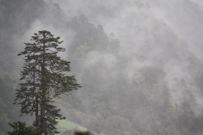 ͽ����Խ���������֮�� (305).JPG