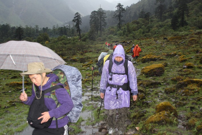 ͽ����Խ���������֮�� (314).JPG