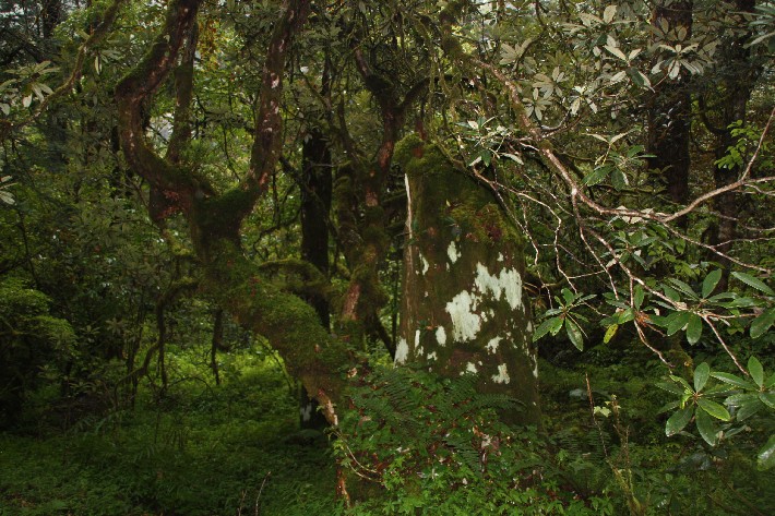 ͽ����Խ���������֮�� (324).JPG