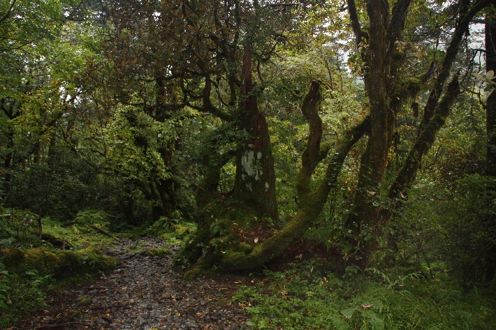 ͽ����Խ���������֮�� (325).JPG