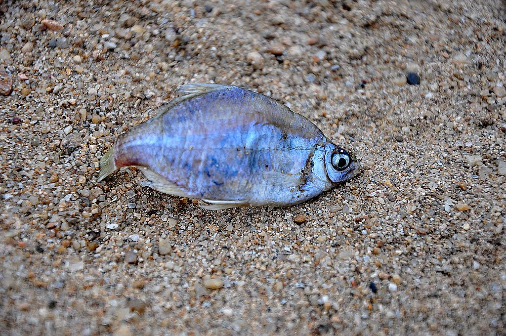 2011��10����Ƭ 620.jpg