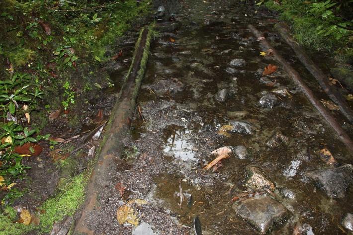 ͽ����Խ���������֮�� (330).JPG