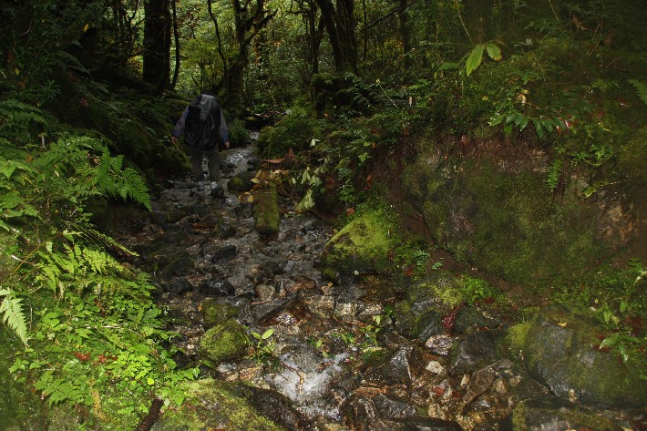 ͽ����Խ���������֮�� (332).JPG