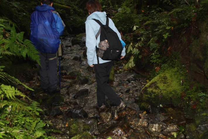 ͽ����Խ���������֮�� (335).JPG