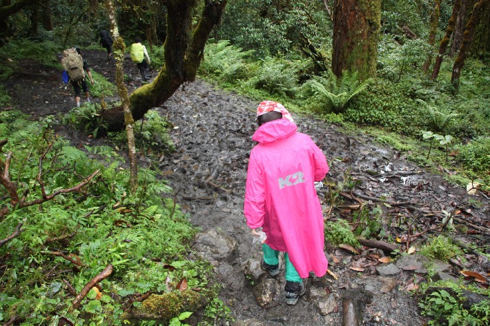 ͽ����Խ���������֮�� (337).JPG