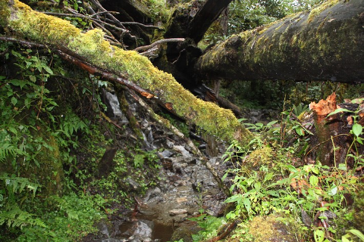 ͽ����Խ���������֮�� (338).JPG