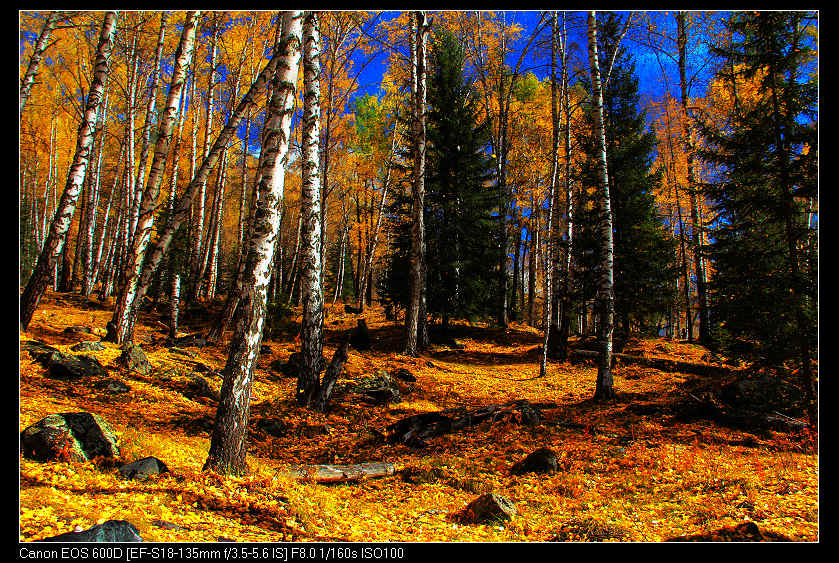 �������ػ͡������2 341_nEO_IMG.jpg